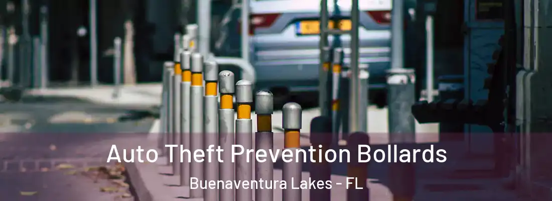  Auto Theft Prevention Bollards Buenaventura Lakes - FL