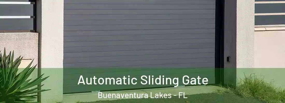  Automatic Sliding Gate Buenaventura Lakes - FL