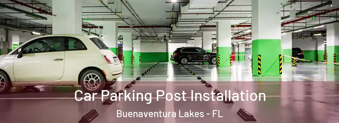  Car Parking Post Installation Buenaventura Lakes - FL