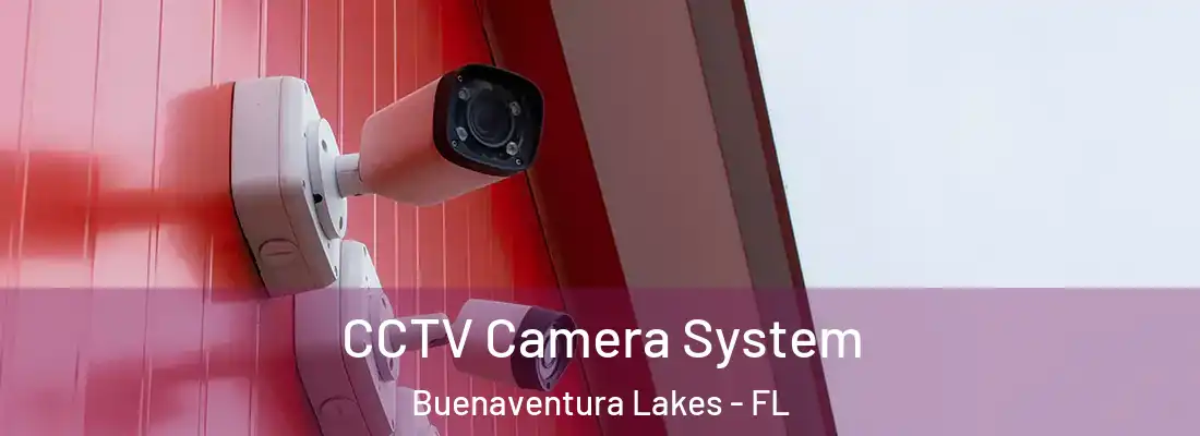  CCTV Camera System Buenaventura Lakes - FL