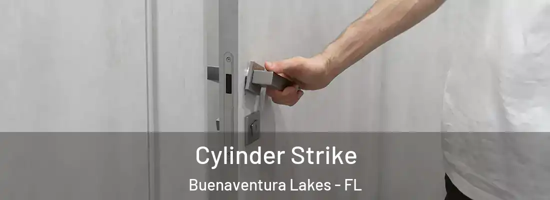  Cylinder Strike Buenaventura Lakes - FL