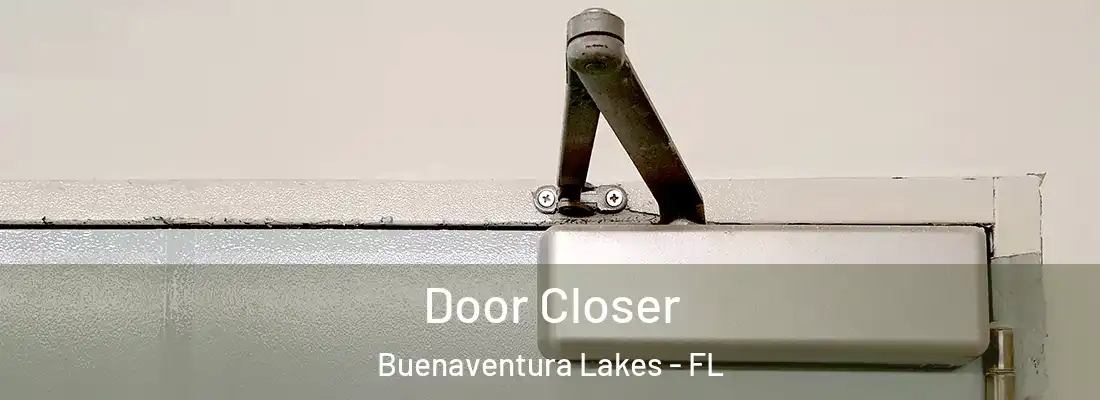  Door Closer Buenaventura Lakes - FL