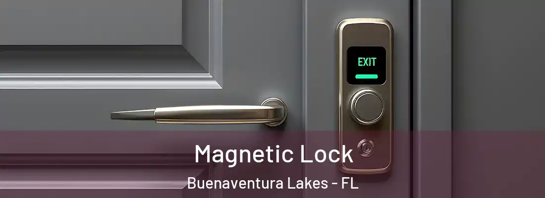  Magnetic Lock Buenaventura Lakes - FL