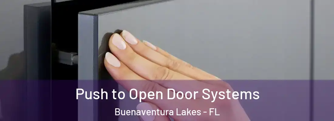  Push to Open Door Systems Buenaventura Lakes - FL